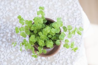 2月の営業日